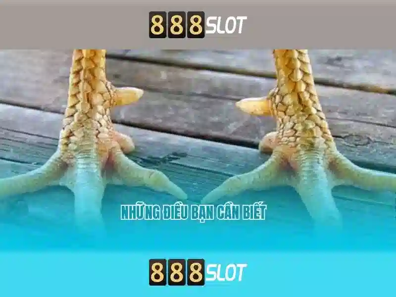 💎bắt sòng bạc ở quảng nam💎