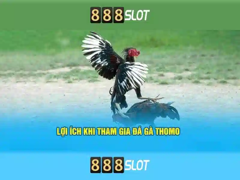 Giới Thiệu 888SLOT – Trải Nghiệm Slot Đỉnh Cao Với 888slot Kasir - 888slot