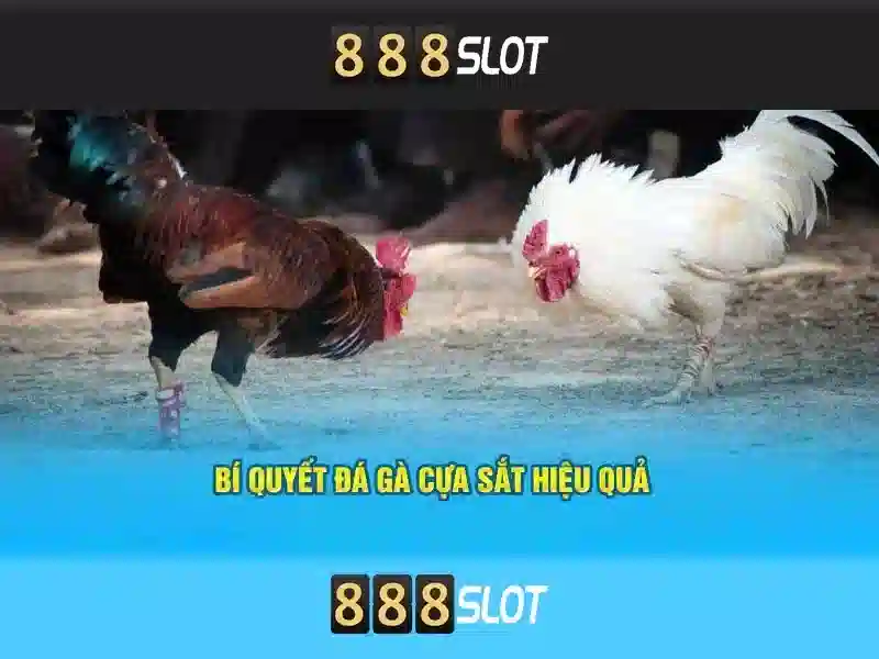 💎ten hag on xn88 slot💎