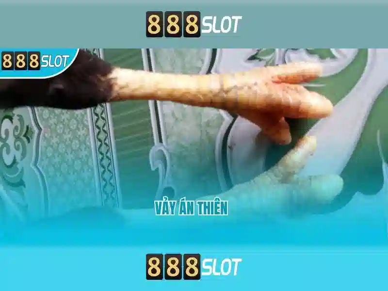 💎cước 4 con cá xịn💎