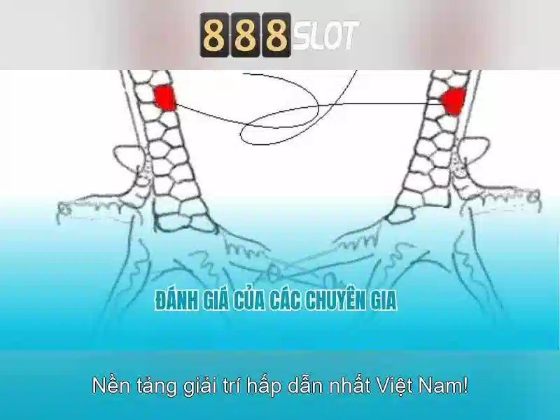 💎ca cuoc ngoai hang anh💎