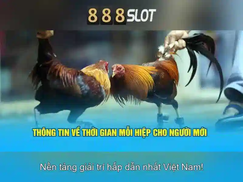 💎kèo nhà cái trận anh vs đức💎